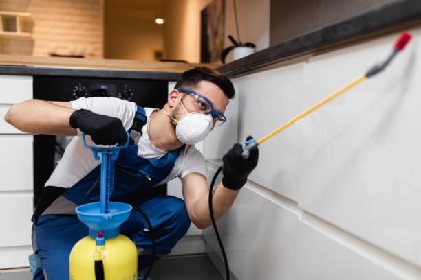 Best Pest Removal Services  in Huntertown, IN
