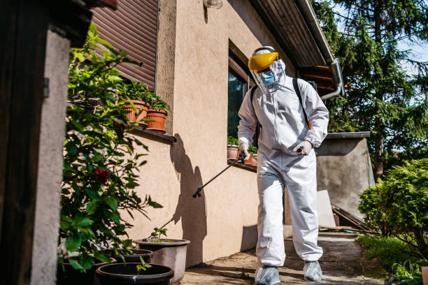 Best Residential Pest Control  in Huntertown, IN