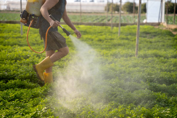 Best Best Pest Control Companies  in Huntertown, IN