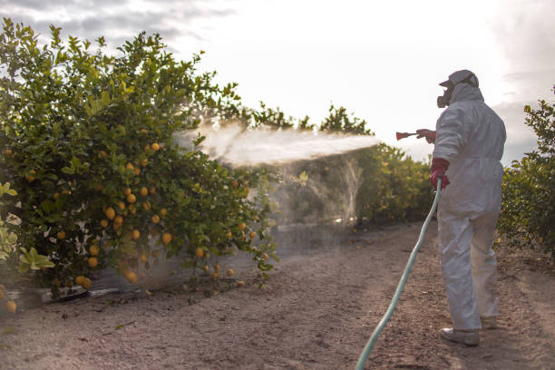 Best Affordable Pest Control Services  in Huntertown, IN