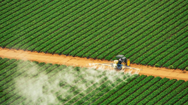 Pest Control Cost in Huntertown, IN